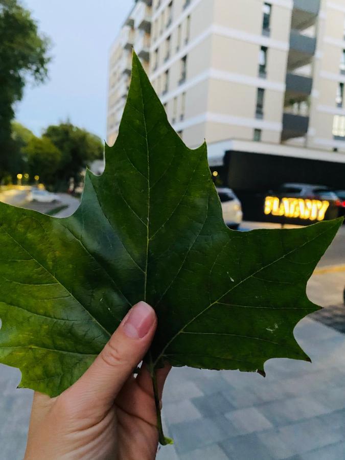 Rodzinny Apartament Platany Centrum Kolobrzeg Dış mekan fotoğraf